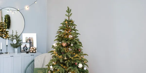 Ispirazione per le feste